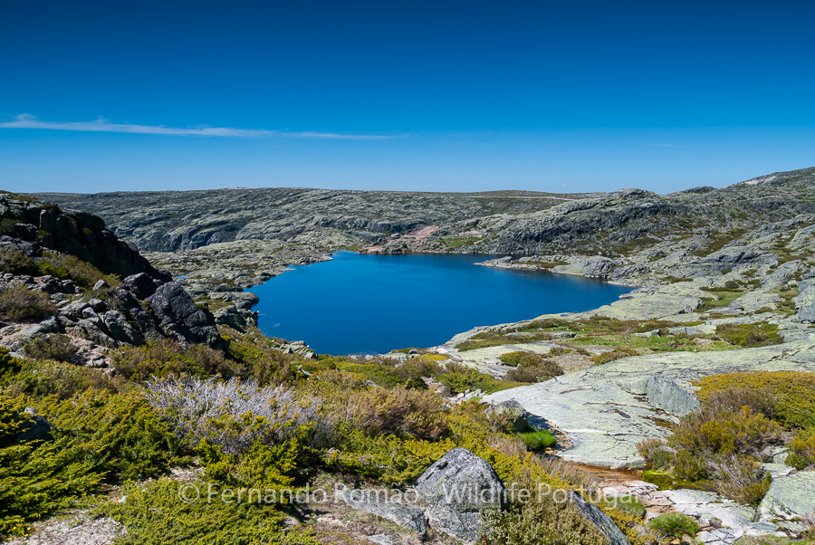 Estrela Mountain Natural Park