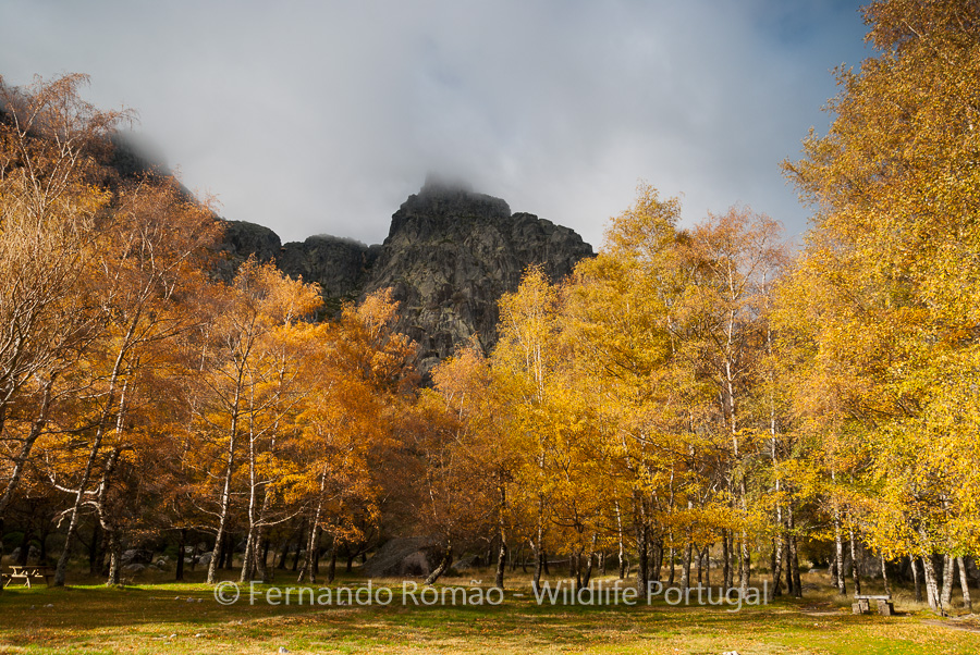Foto Tour Serra da Estrela