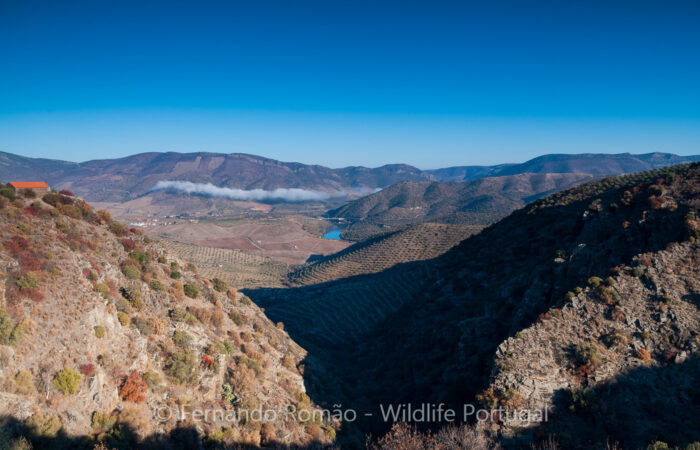 Douro Internacional Nature Park