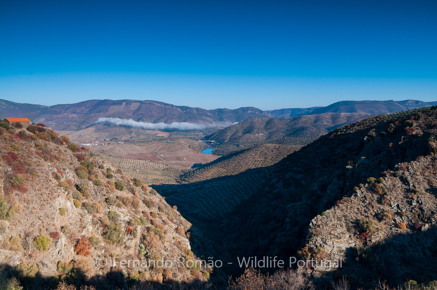 FMR6558 Douro Internacional Nature Park