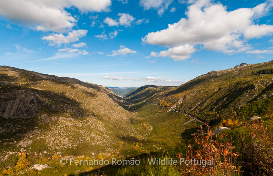 Vale do Zêzere