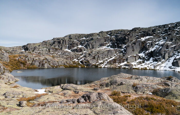 FMR2550 Foto Tour Serra da Estrela
