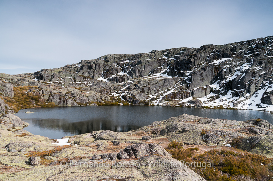 FMR2550 Foto Tour Serra da Estrela