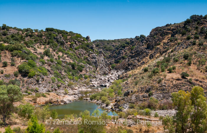 FMR1812 Erges River