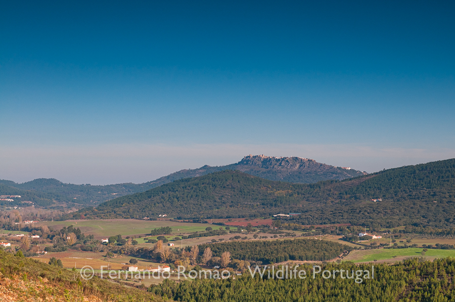 Marvão