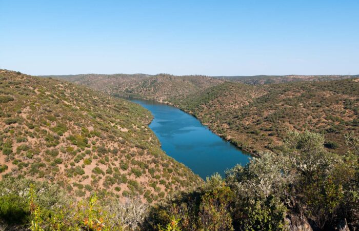 FMR1274 Tejo Internacional Natural Park