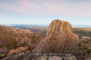 Estrela Mountain Natural Park