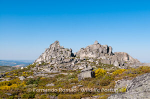 Estrela Mountain Natural Park