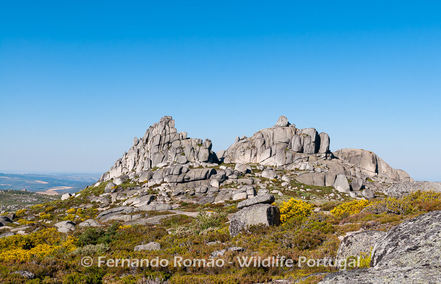 Estrela Mountain Natural Park