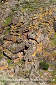 Geoshapes at Mosteiro Stream valleyDouro Internacional