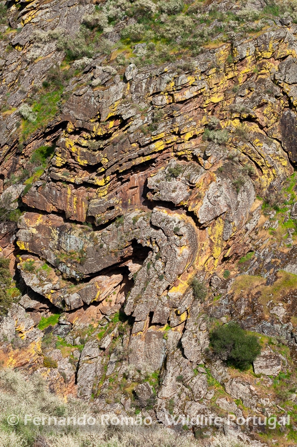 Geoshapes at Mosteiro Stream valleyDouro Internacional