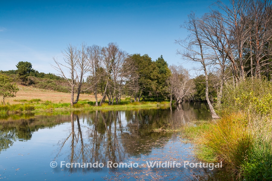 Côa River Côa River - Bosques e prados da Malcata