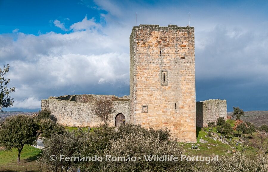 Vilar Maior castle