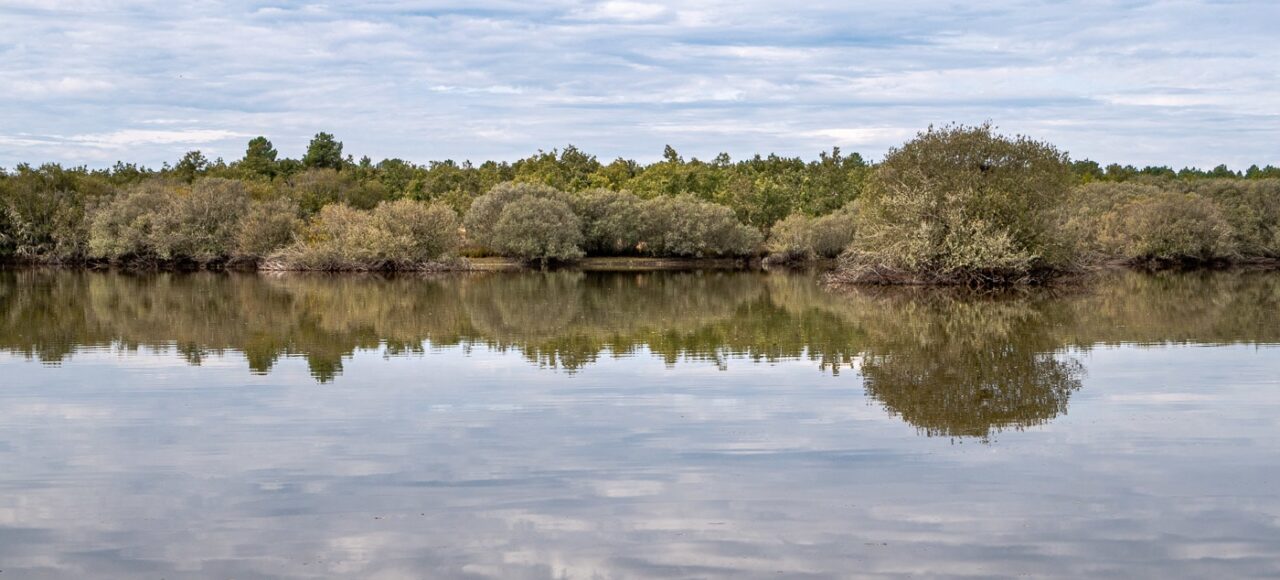Paul de Toirões rewilding area
