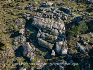 Geoformas da Serra das Mesas - Cradle of the Côa