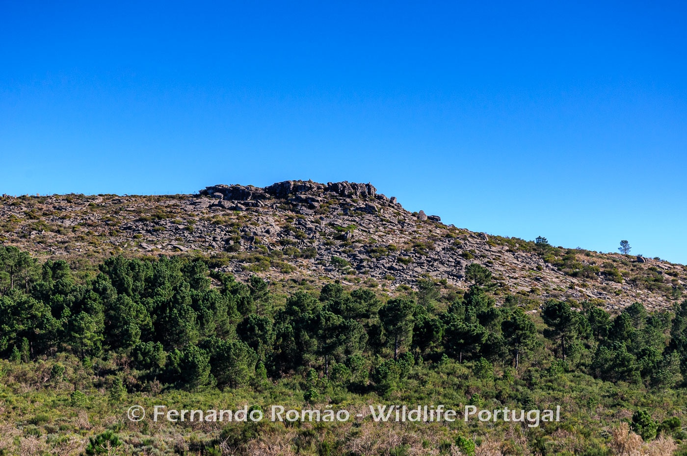 Serra das Mesas Serra das Mesas