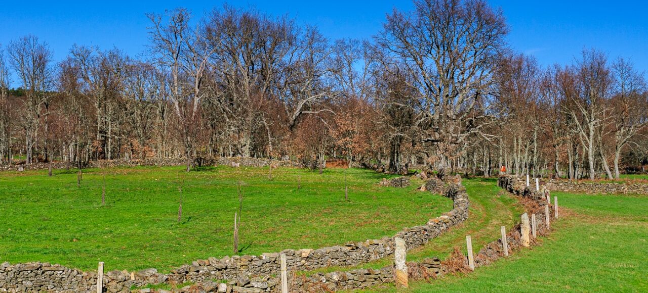 Carvalhal e prados - Cradle of the Côa