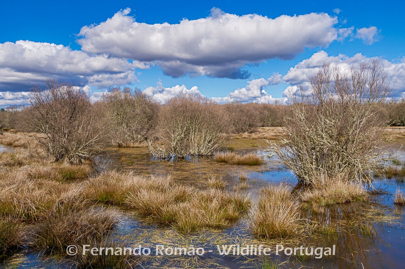 Paul de Toirões rewilding area Paul de Toirões