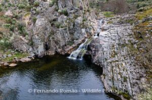 Ermo das Águias Rewilding Area