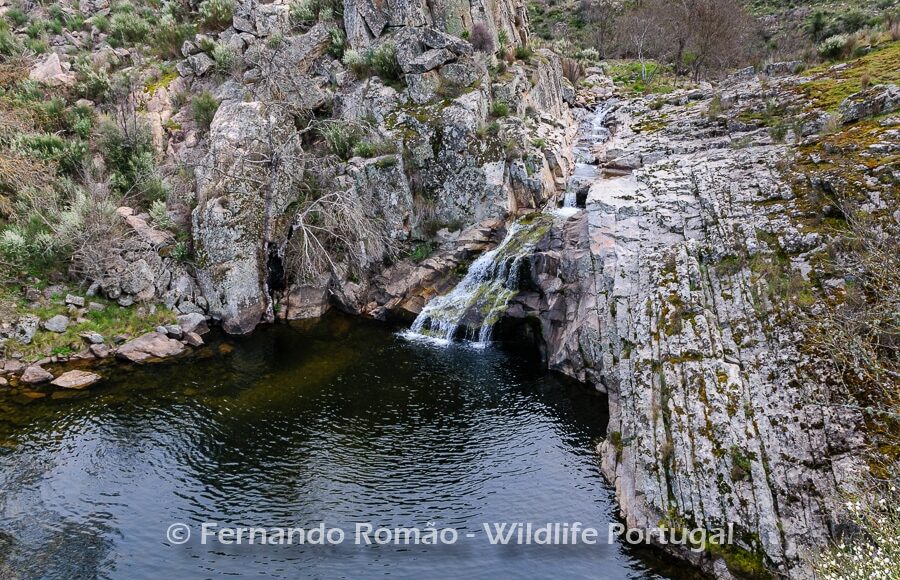 Ermo das Águias Rewilding Area