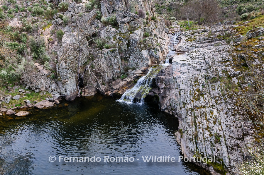Ermo das Águias Ermo das Águias Rewilding Area