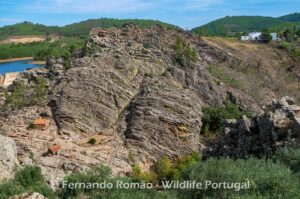 Ichnological Park of Penha Garcia