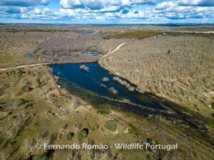 Paul de Toirões rewilding area