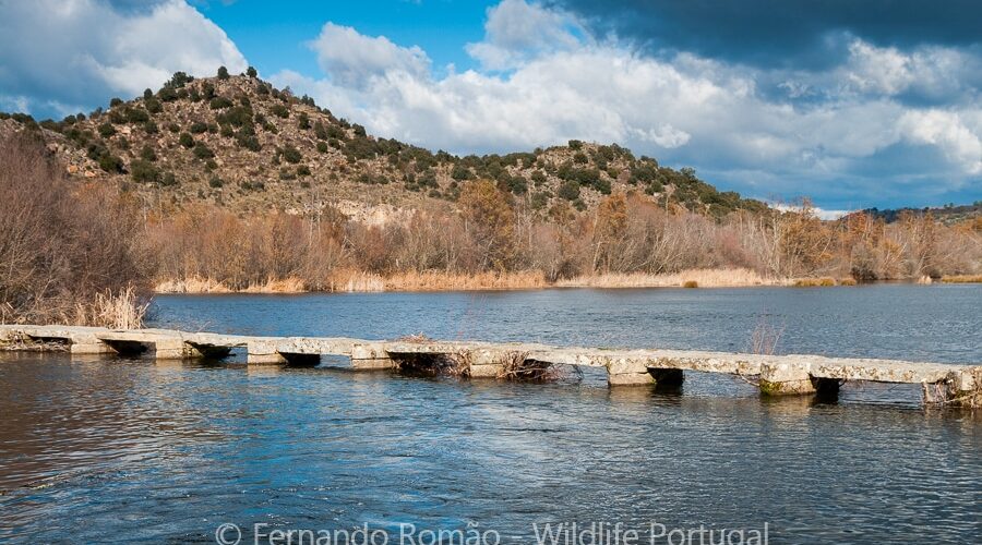 The Greater Côa Valley Coa River