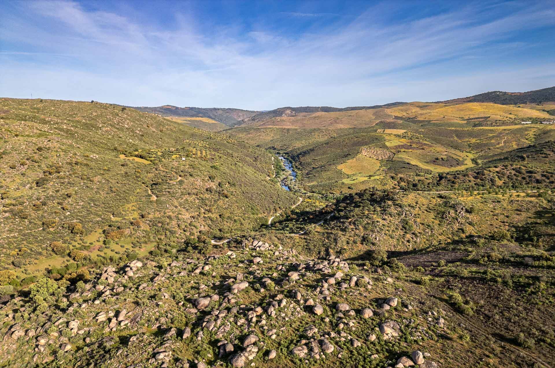 Greater Côa Valley Birdwatching in the Greater Côa Valley