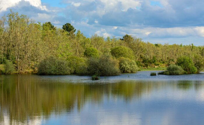 Paul de Toirões rewilding area