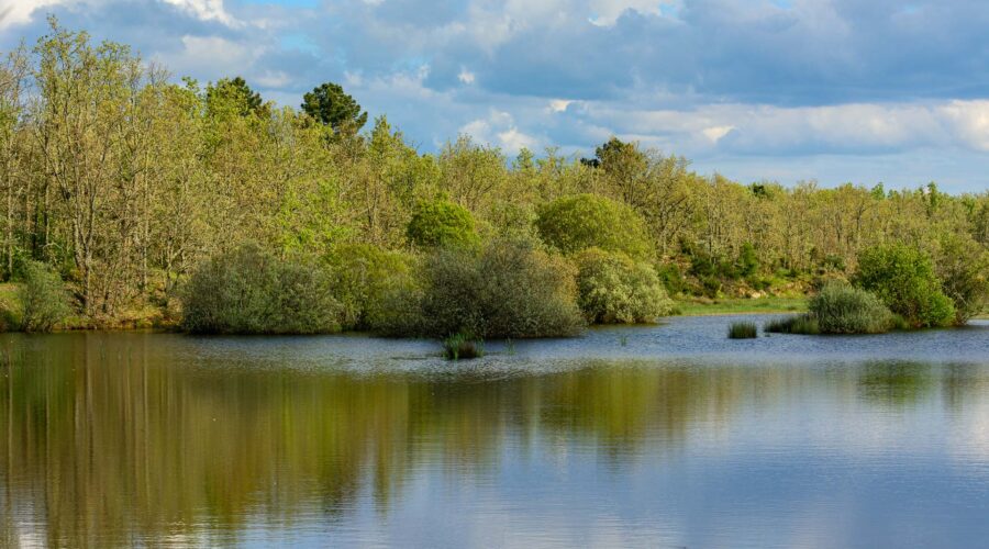 Paul de Toirões rewilding area