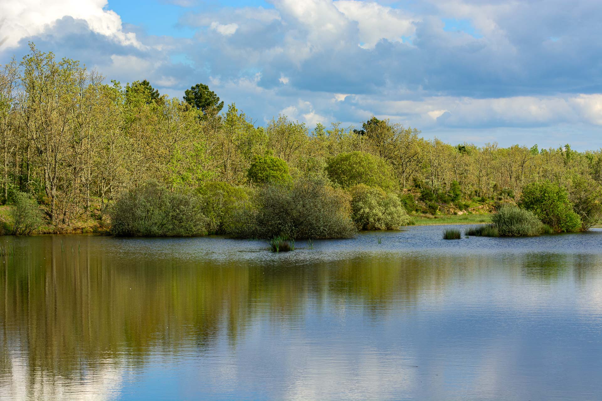 Paul de Toirões rewilding area