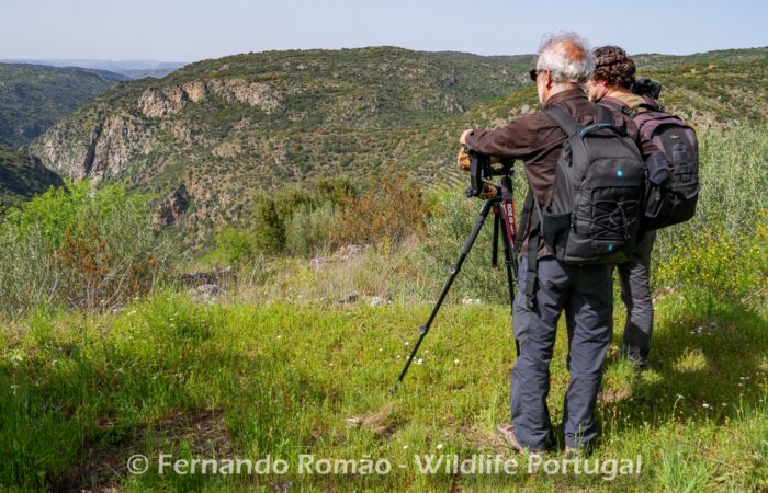 Foto Tour Douro Internacional