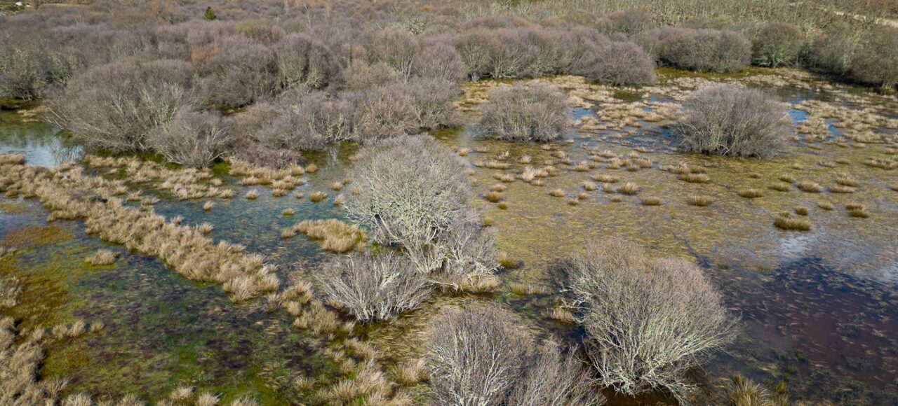 Paul de Toirões rewilding area