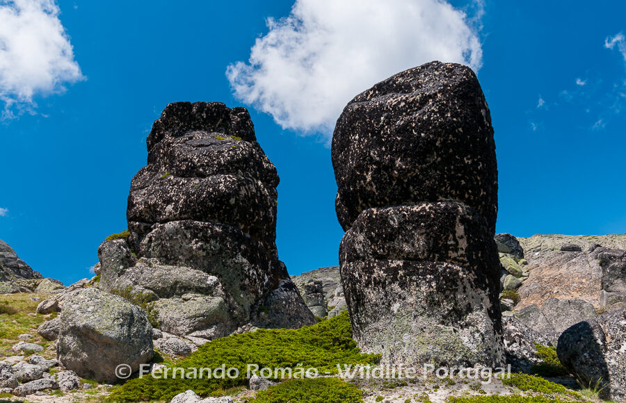 Estrela Mountain Natural Park