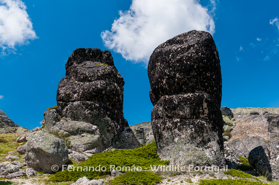 Estrela Mountain Natural Park Estrela Mountain Natural Park