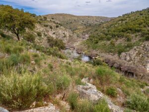 Côa River - Ermo das Águias rewilding area