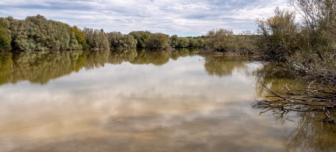 Paul de Toirões rewilding area
