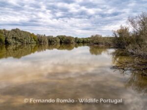 Paul de Toirões rewilding area