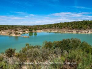 Paul de Toirões rewilding area