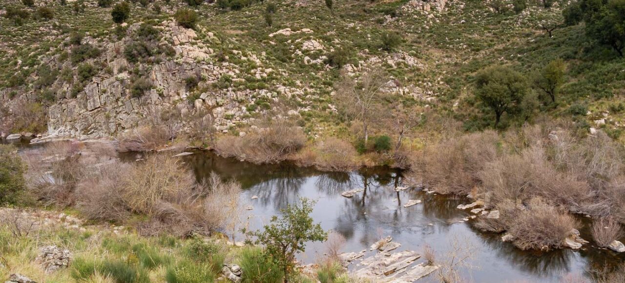 Ermo das Águias Rewilding Area