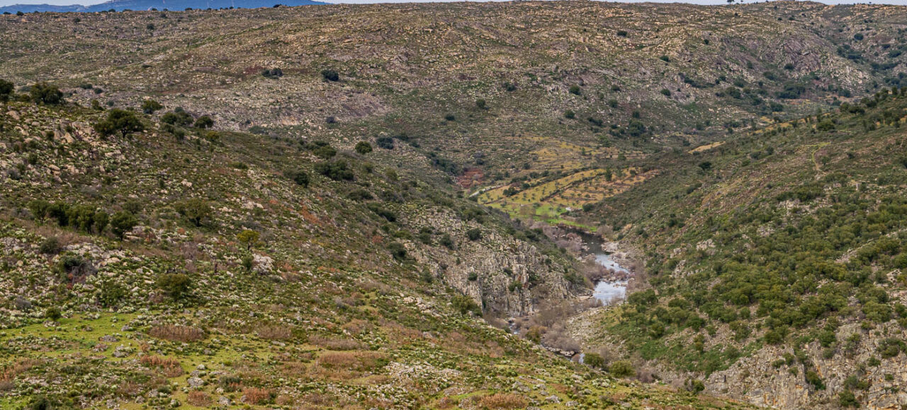 Ermo das Águias Rewilding Area