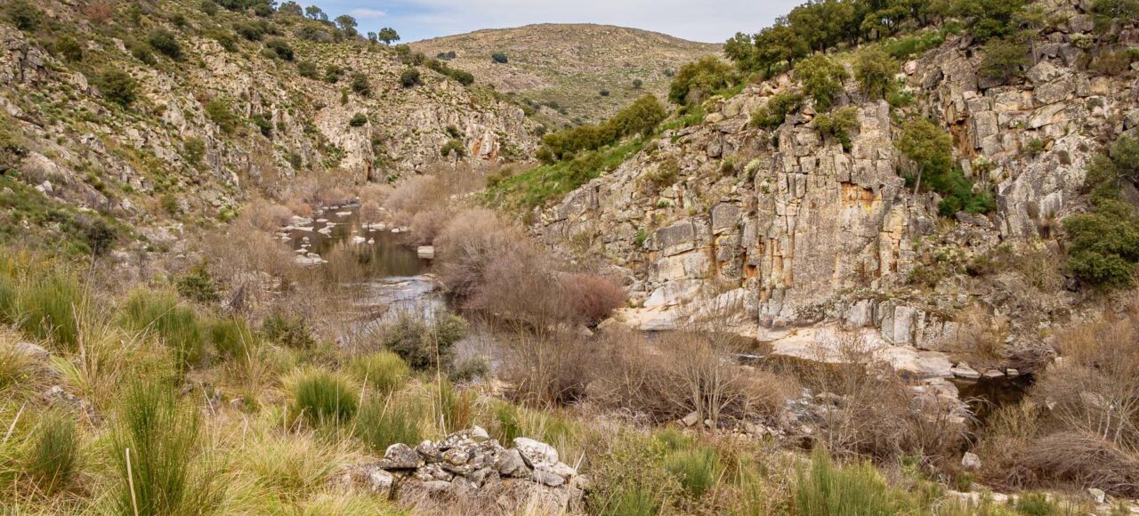 Côa River - Ermo das Águias rewilding area