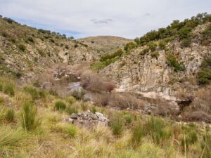 Côa River - Ermo das Águias rewilding area