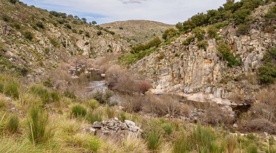 Côa River - Ermo das Águias rewilding area