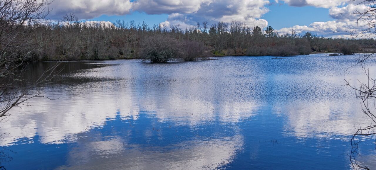 Paul de Toirões rewilding area
