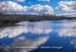 Paul de Toirões rewilding area