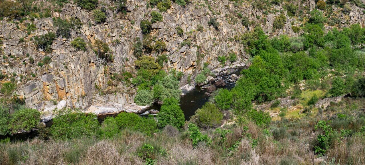 Côa River - Ermo das Águias rewilding area