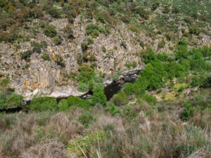 Côa River - Ermo das Águias rewilding area
