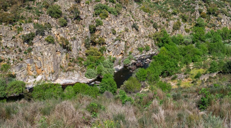 Côa River - Ermo das Águias rewilding area
